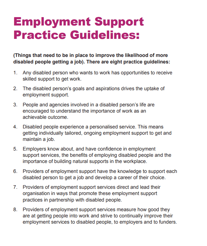 Employment Support Practice Guidelines