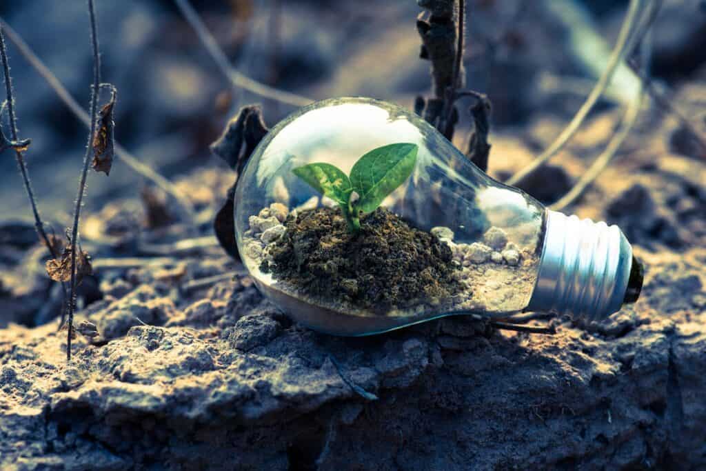 Une ampoule avec de nouvelles feuilles qui poussent à l'intérieur est posée sur un sol sec, entourée de feuilles fanées et sèches. Cette image montre que des idées novatrices peuvent être nourries dans n'importe quel environnement.