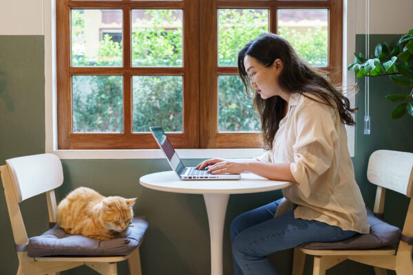 woman working from home with cat. cat asleep on the laptop keyboard. assistant cat working at Laptop.